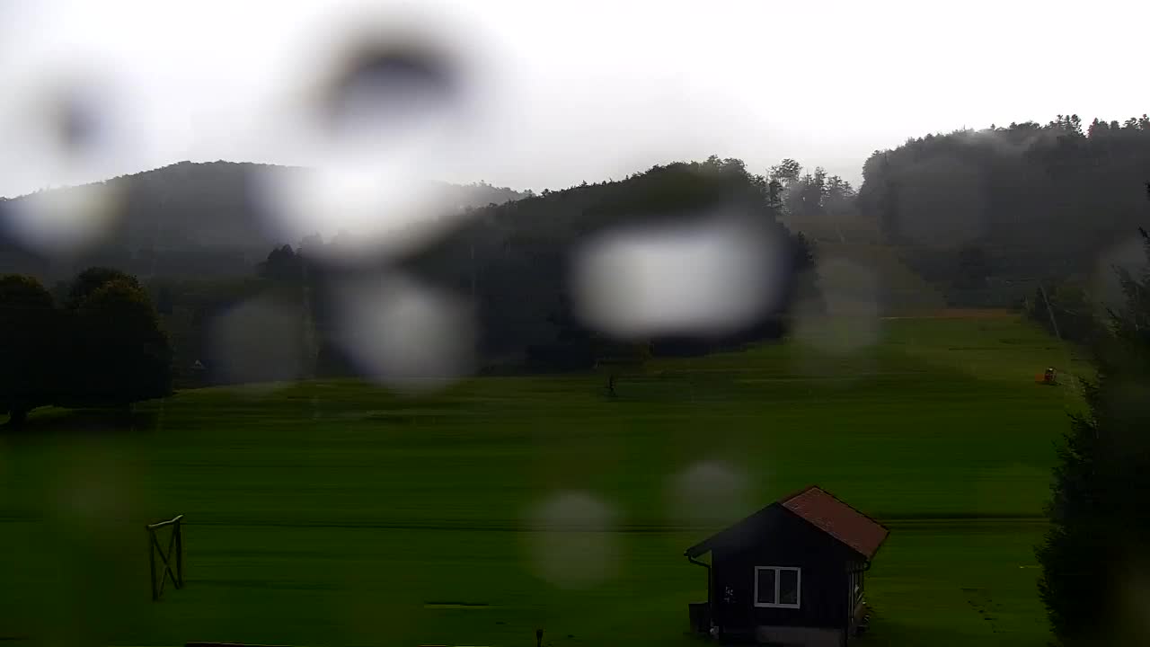 Webcam Lokve – La beauté de la forêt de Trnovo