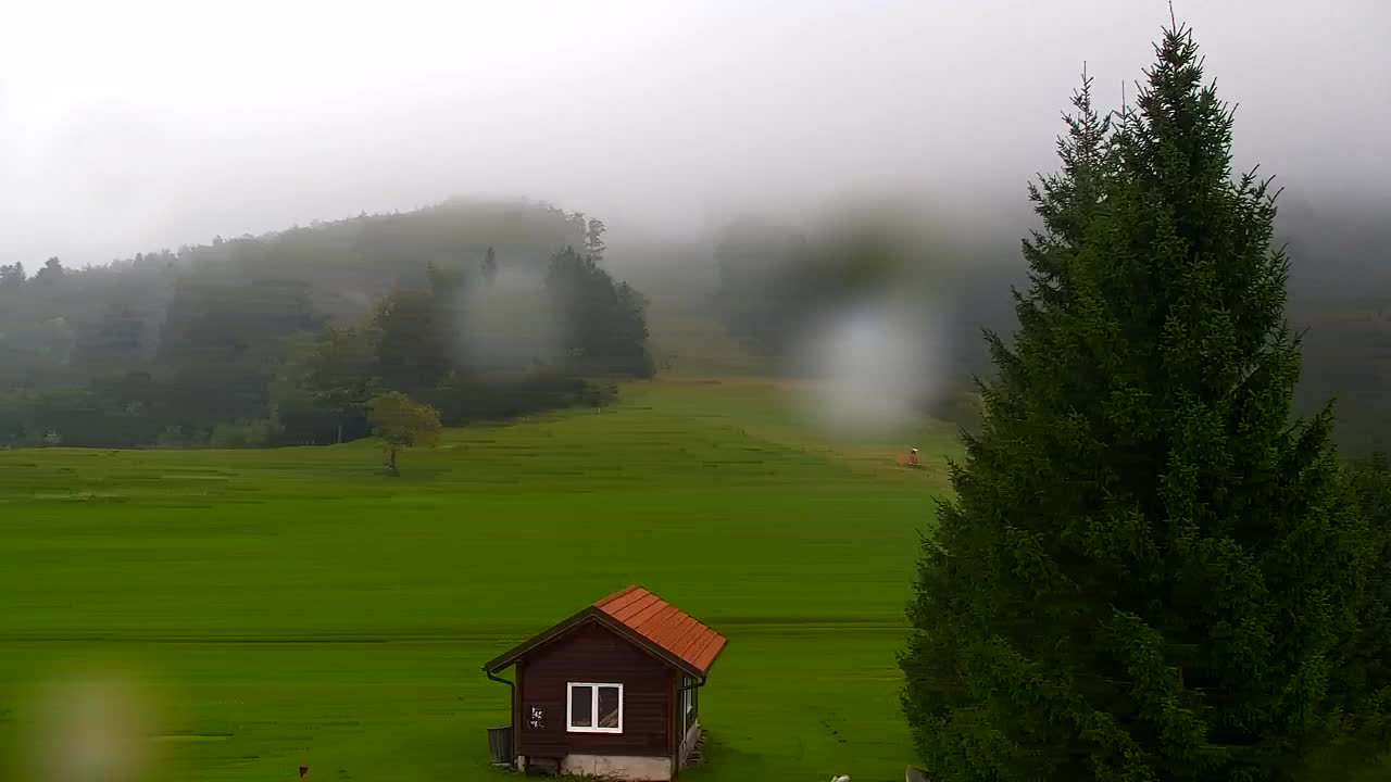 Webcam Lokve – Die Schönheit des Trnovo-Waldes