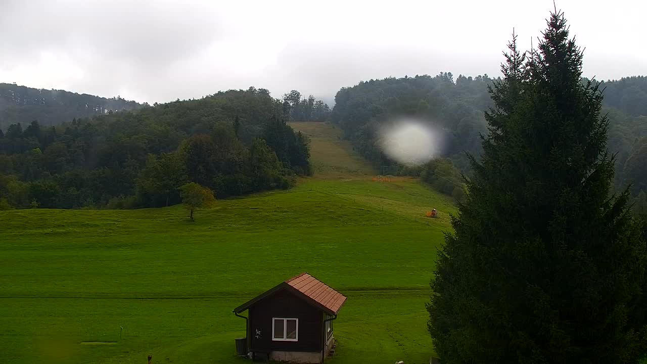 Webcam Lokve – La beauté de la forêt de Trnovo