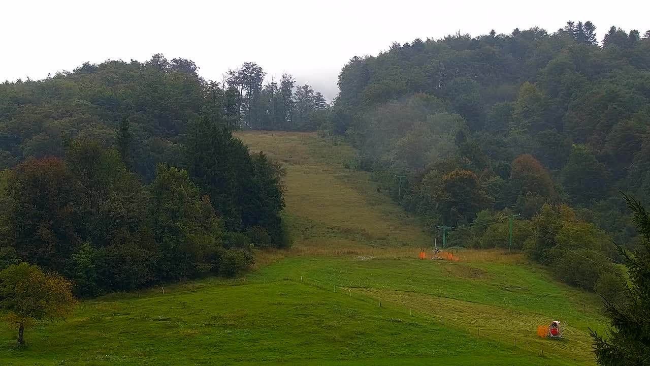 Webcam Loqua / Lokve – La bellezza della selva di Tarnova