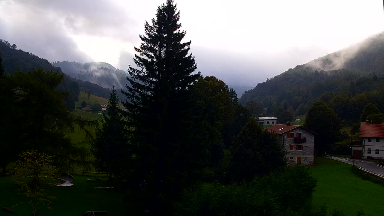 Webcam Lokve – The beauty of the Trnovo forest