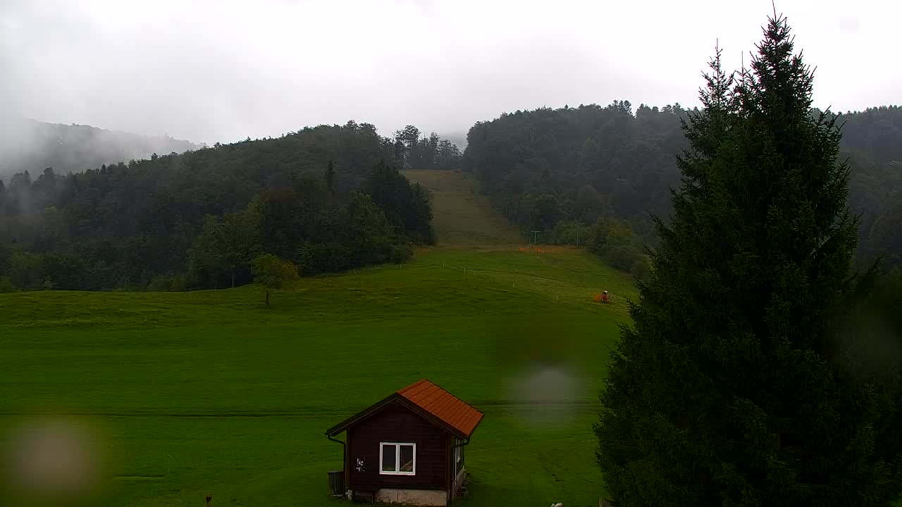 Webcam Lokve – The beauty of the Trnovo forest