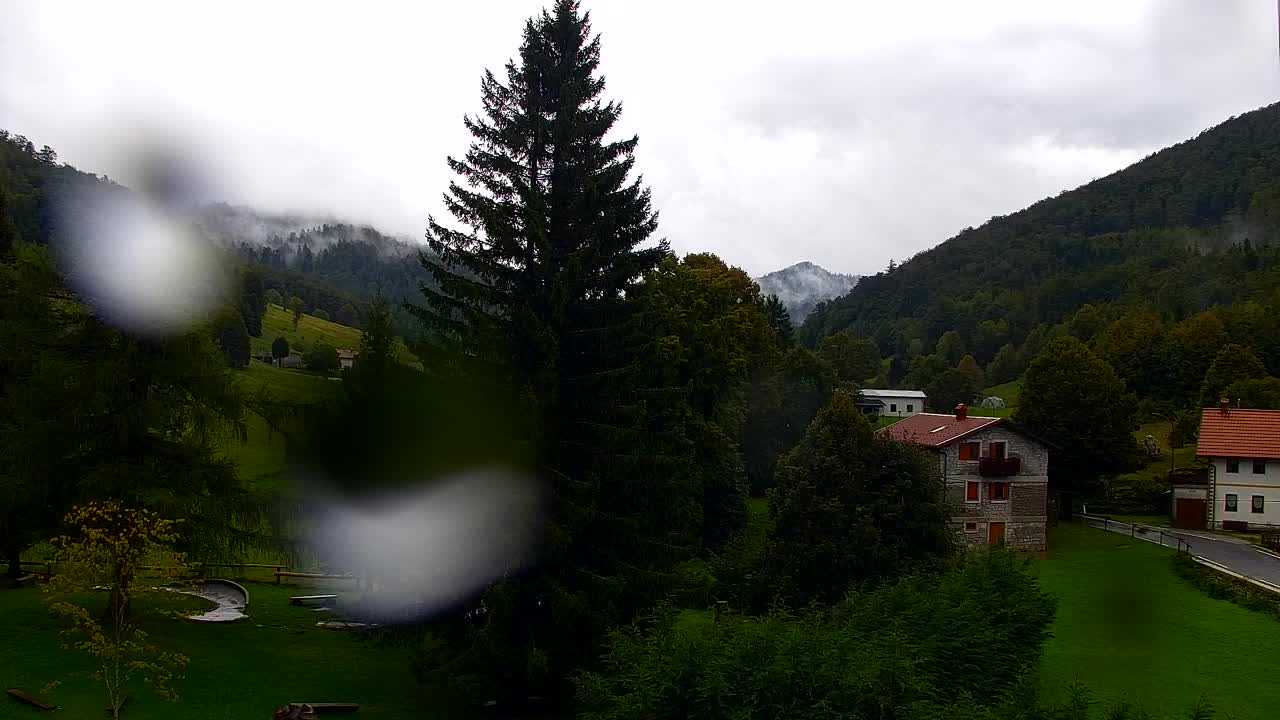 Webcam Lokve – Die Schönheit des Trnovo-Waldes