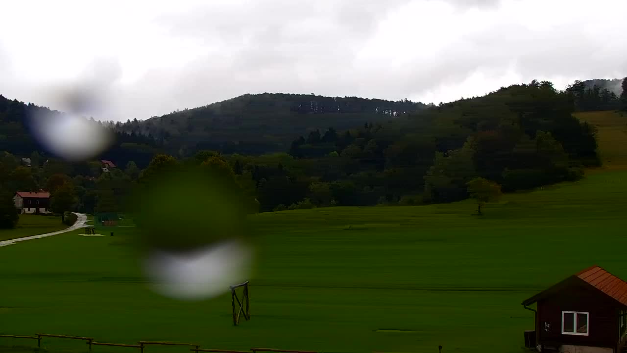 Webcam Loqua / Lokve – La bellezza della selva di Tarnova