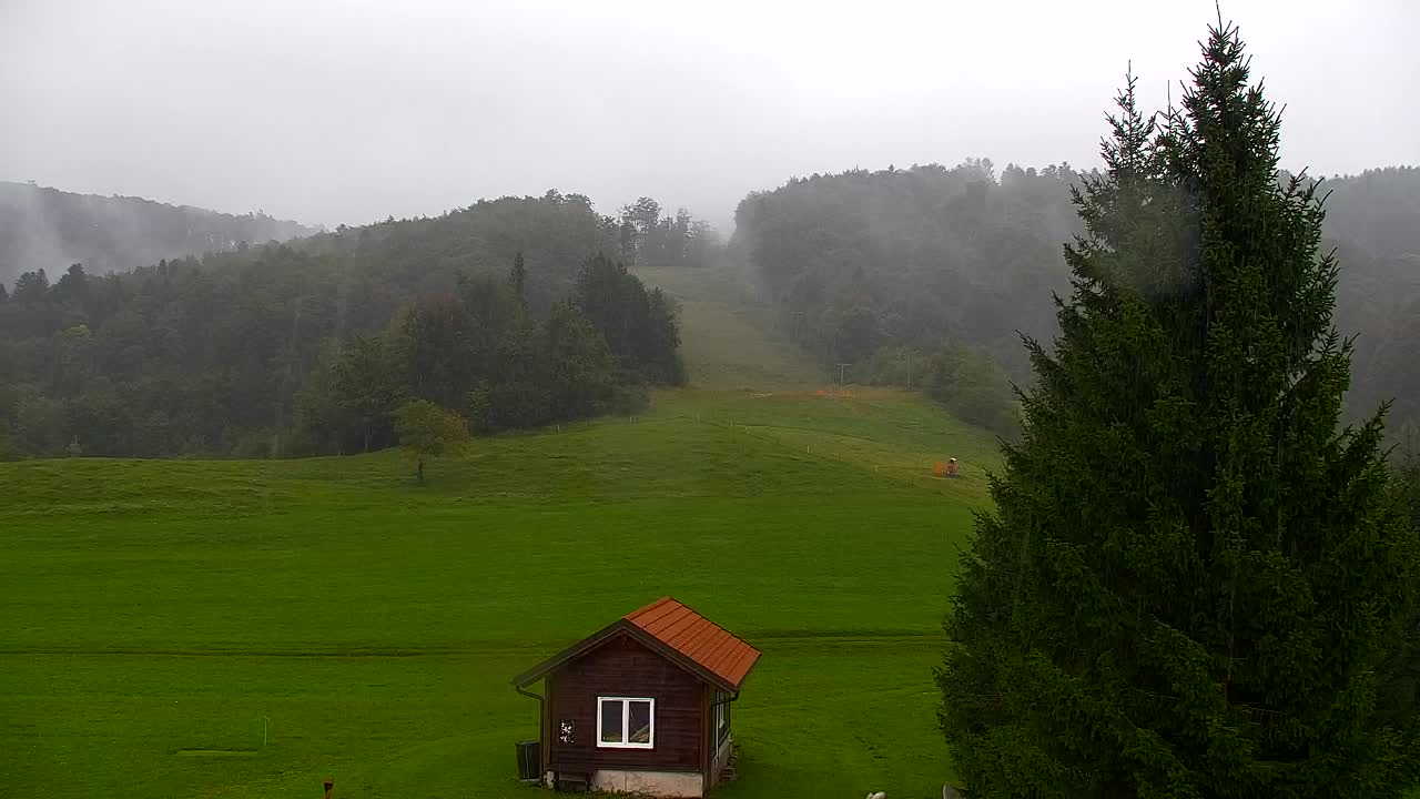 Webcam Lokve – The beauty of the Trnovo forest