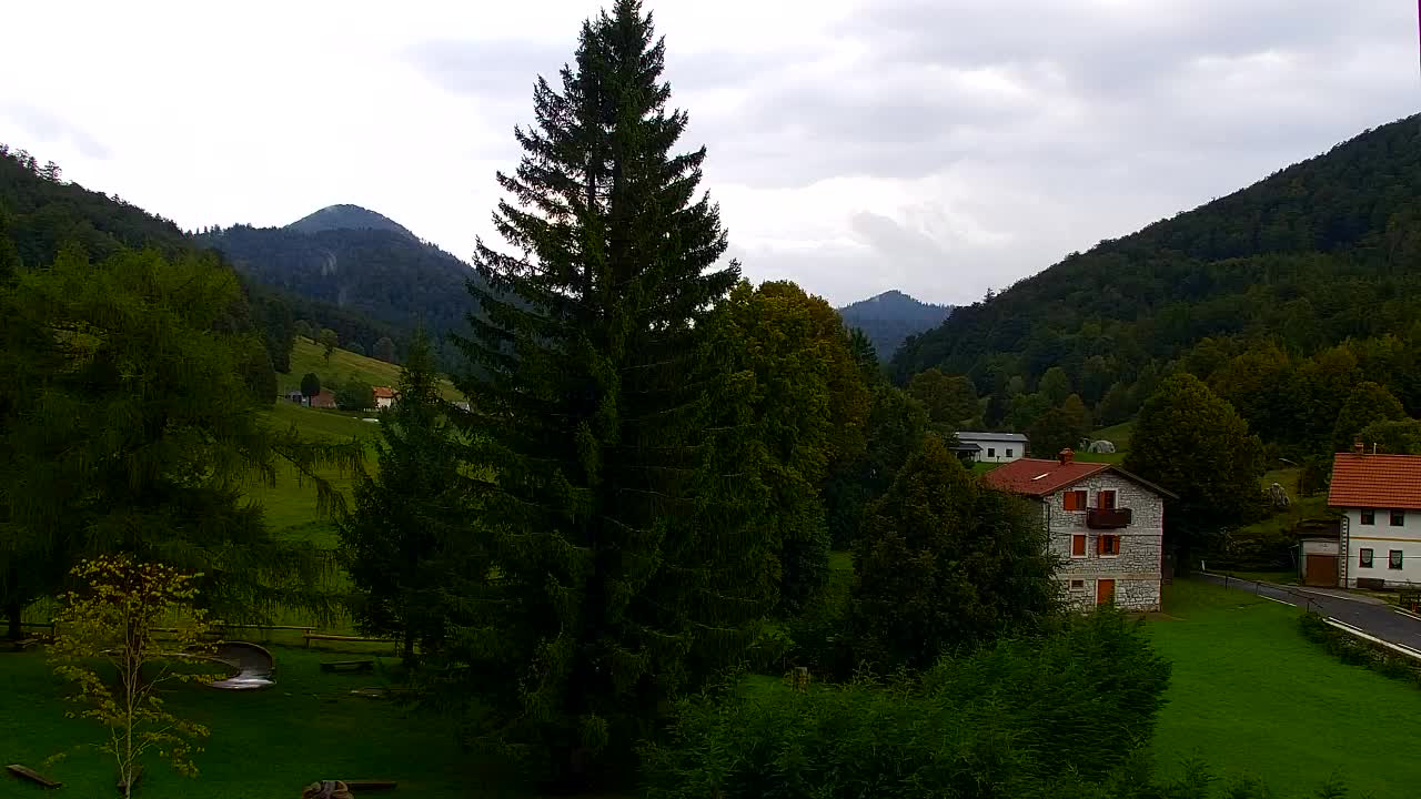 Webcam Lokve – The beauty of the Trnovo forest