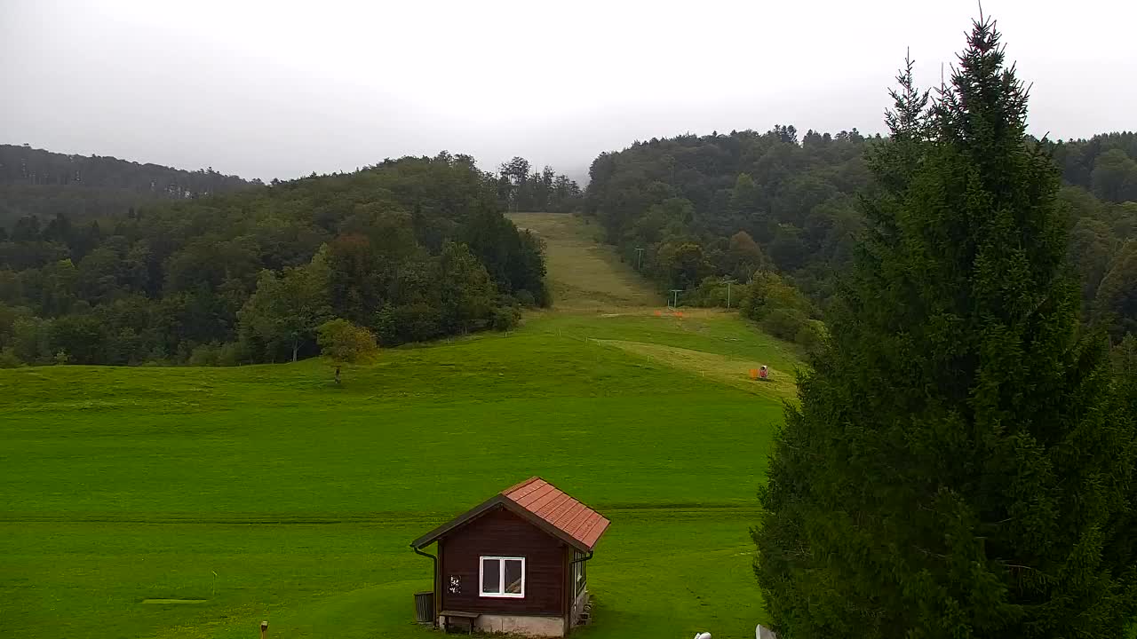 Webcam Lokve – The beauty of the Trnovo forest