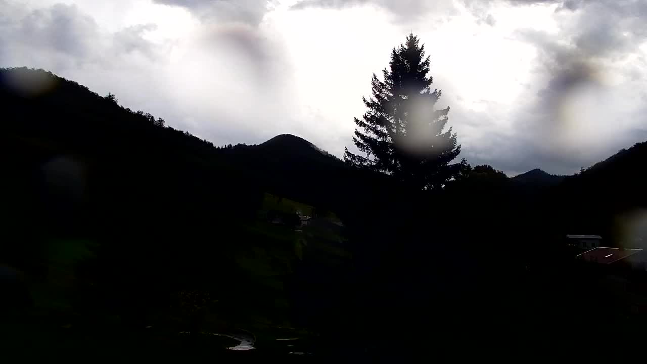 Webcam Loqua / Lokve – La bellezza della selva di Tarnova