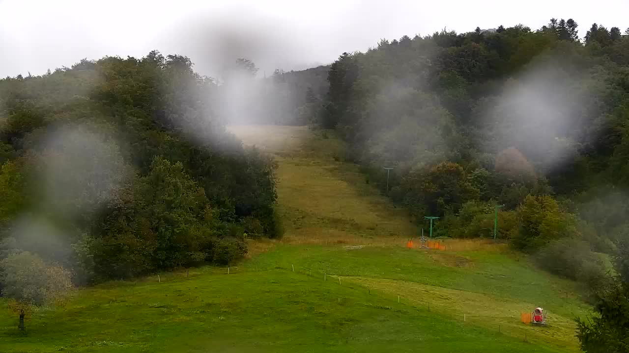 Webcam Lokve – The beauty of the Trnovo forest