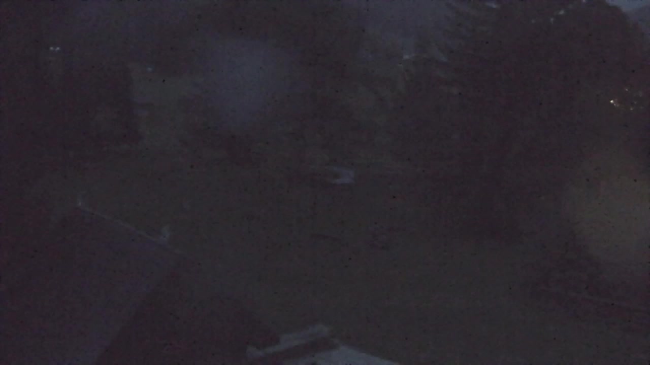 Webcam Loqua / Lokve – La bellezza della selva di Tarnova