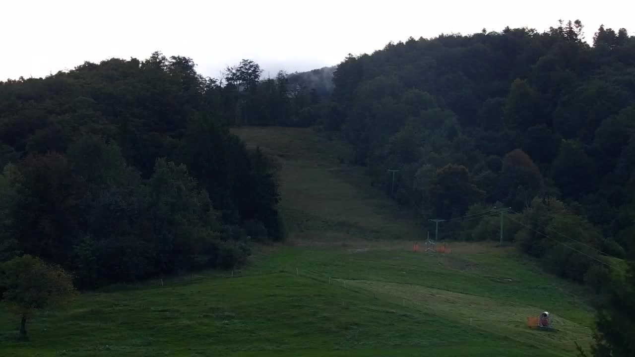 Webcam Loqua / Lokve – La bellezza della selva di Tarnova