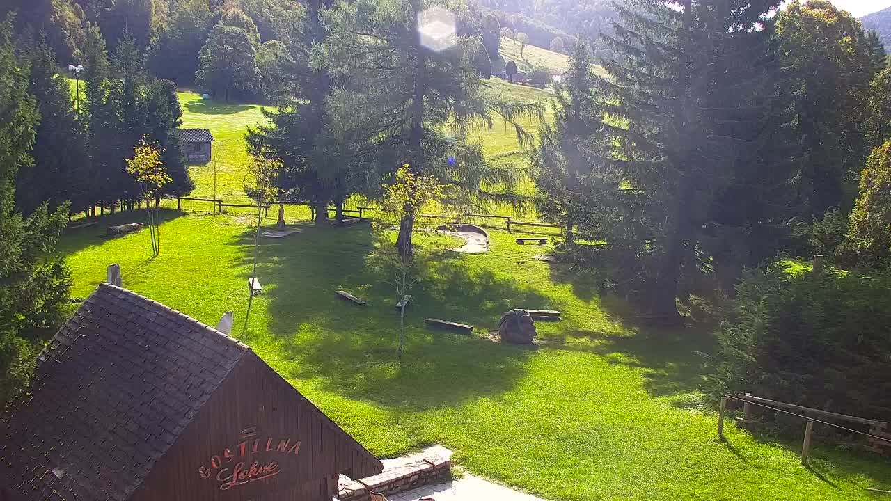 Webcam Lokve – La beauté de la forêt de Trnovo