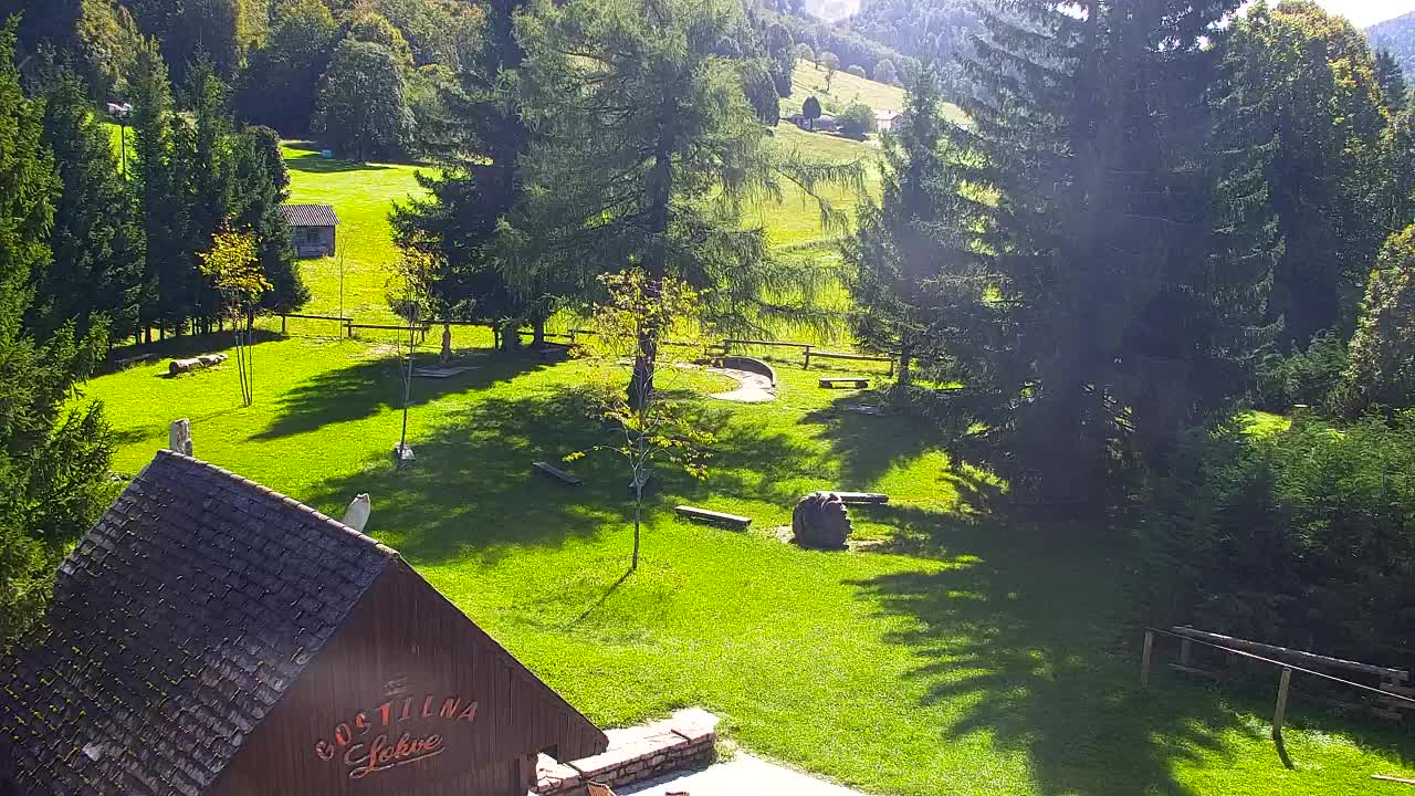 Webcam Lokve – The beauty of the Trnovo forest