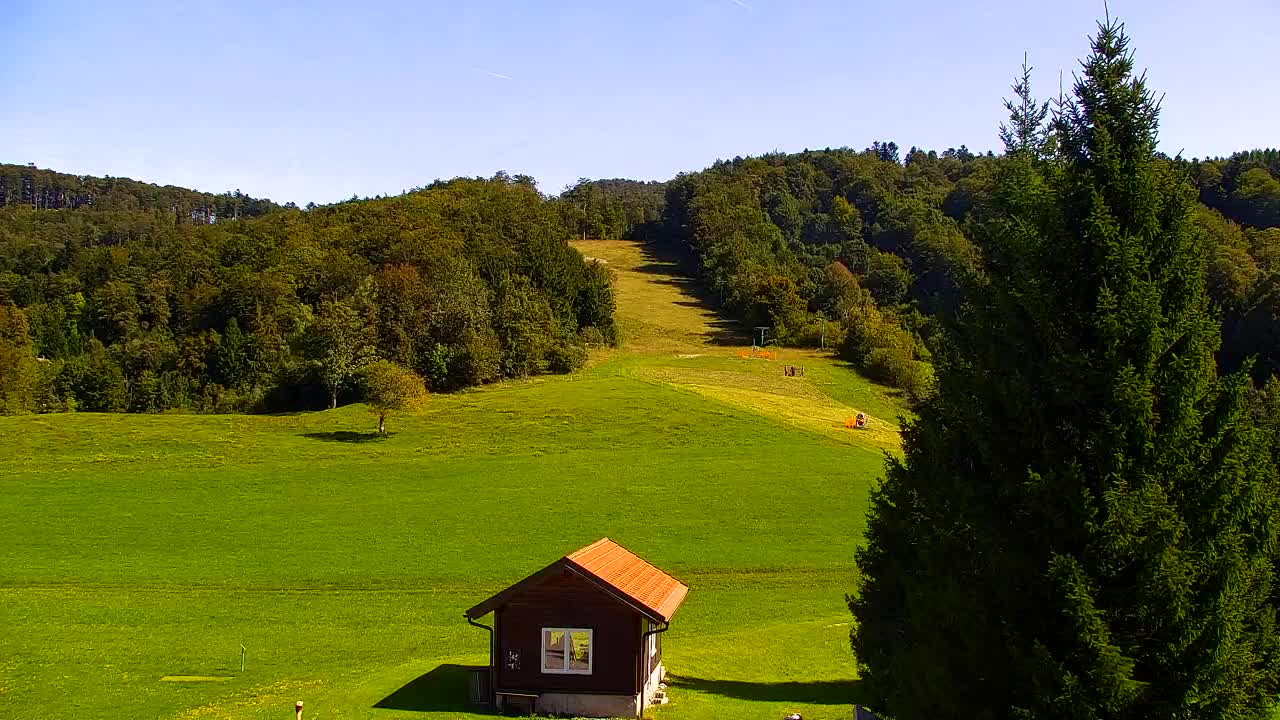 Webcam Lokve – La beauté de la forêt de Trnovo