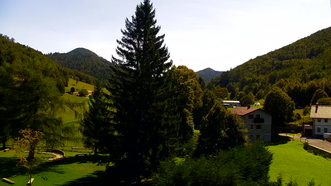 Webcam Loqua / Lokve – La bellezza della selva di Tarnova