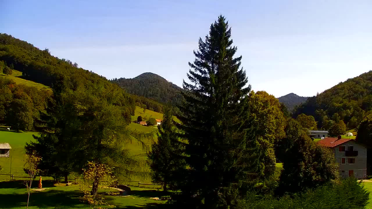 Webcam Lokve – La beauté de la forêt de Trnovo