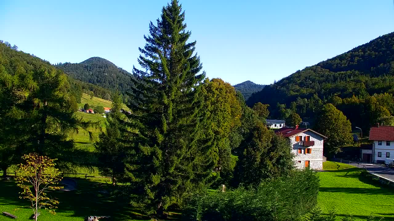 Webcam Lokve – Die Schönheit des Trnovo-Waldes