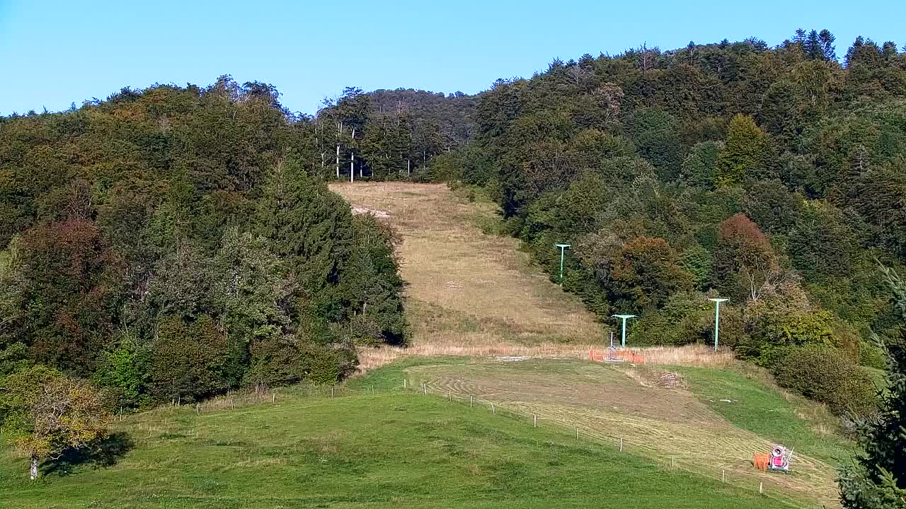 Webcam Loqua / Lokve – La bellezza della selva di Tarnova