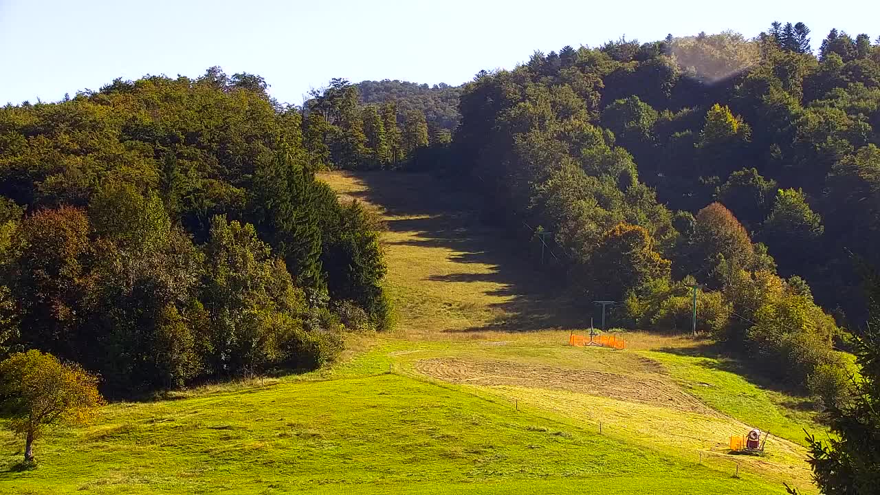 Webcam Lokve – La beauté de la forêt de Trnovo