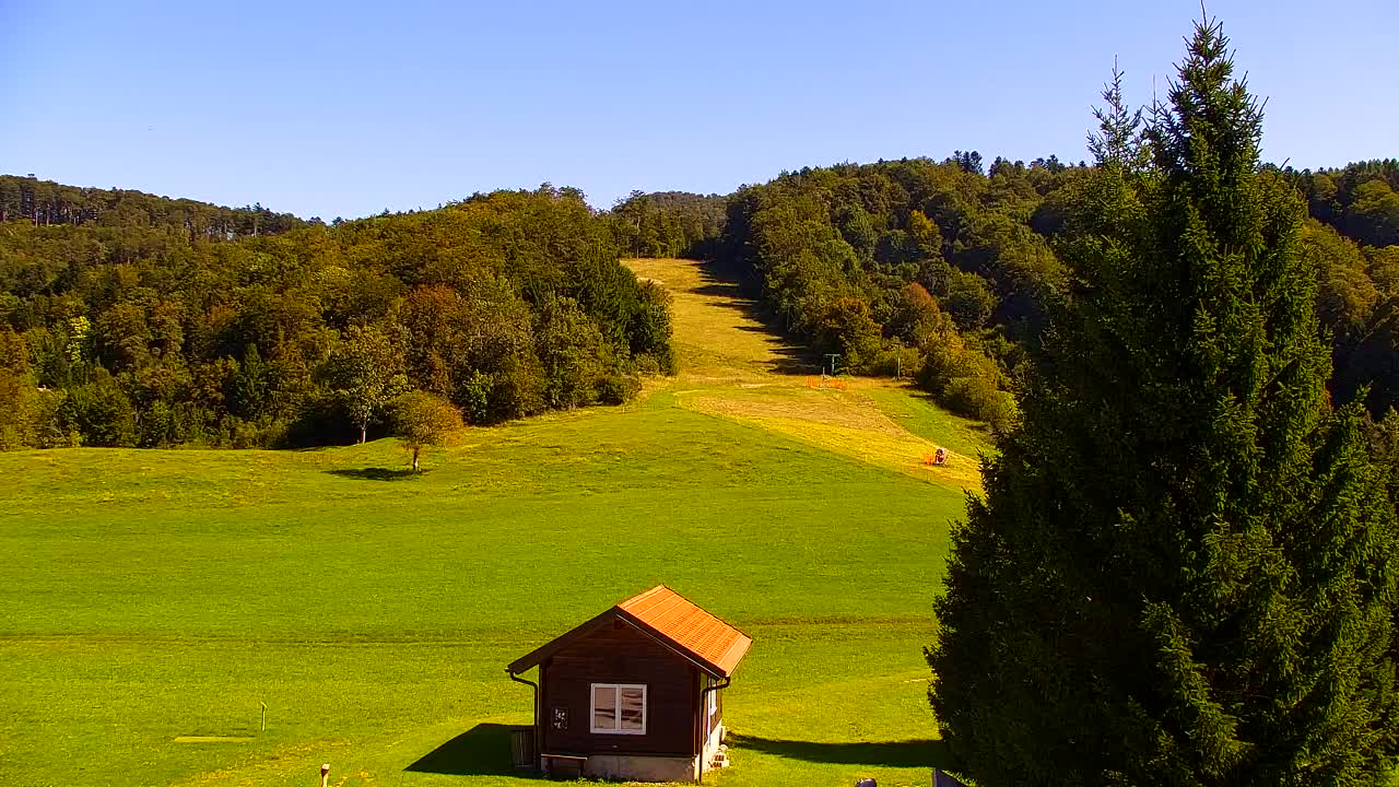 Webcam Loqua / Lokve – La bellezza della selva di Tarnova