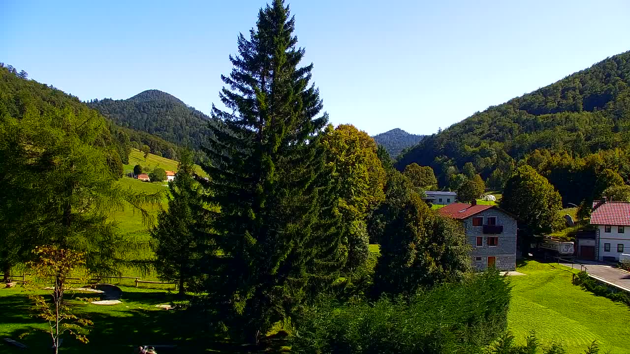 Webcam Lokve – La beauté de la forêt de Trnovo