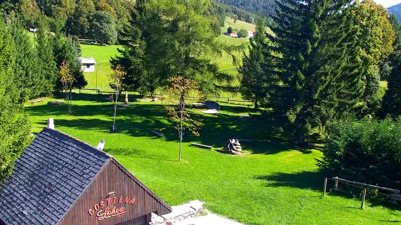 Webcam Loqua / Lokve – La bellezza della selva di Tarnova