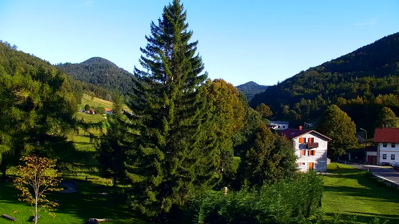 Webcam Lokve – La beauté de la forêt de Trnovo