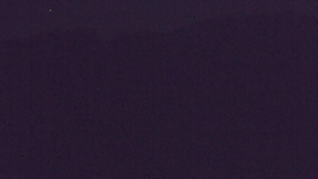 Webcam Loqua / Lokve – La bellezza della selva di Tarnova