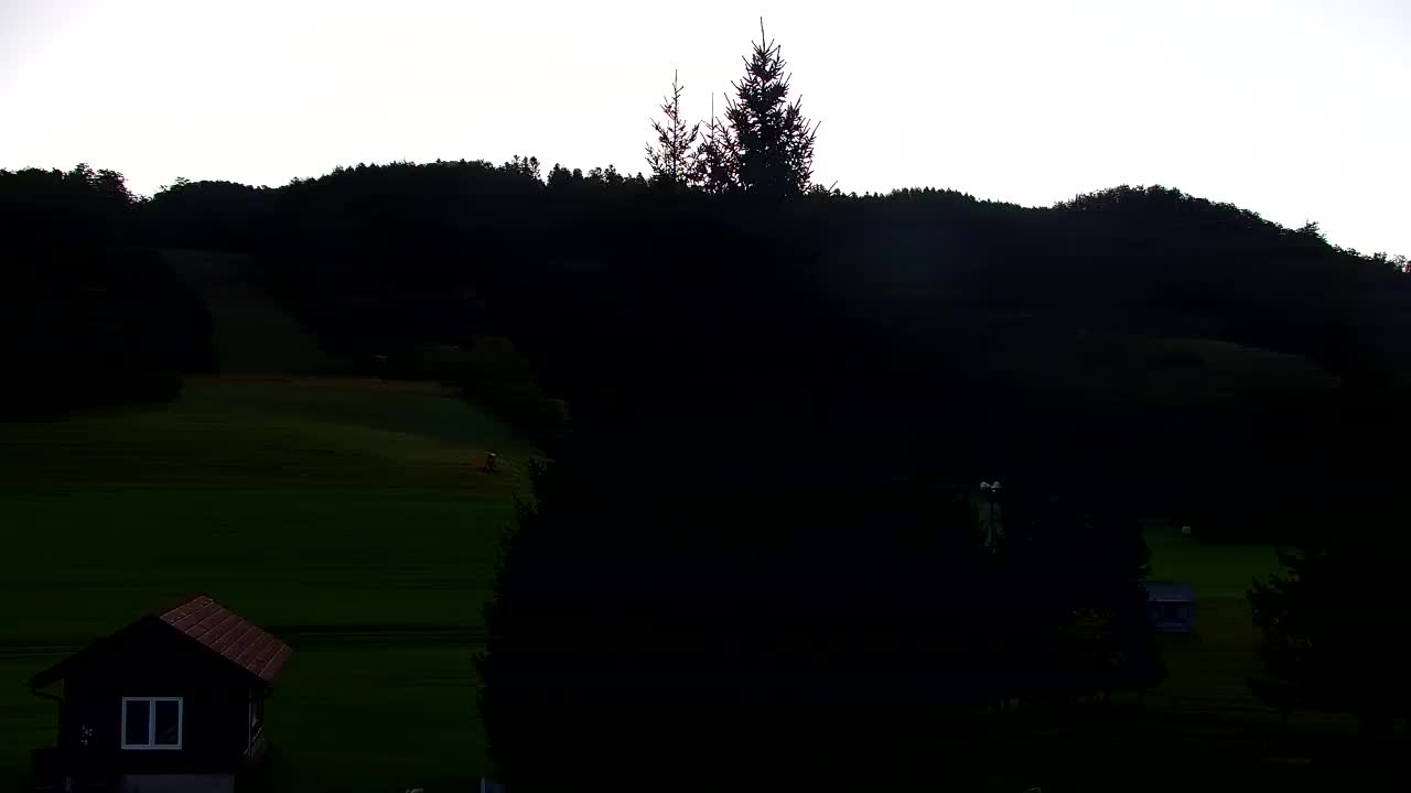 Webcam Lokve – The beauty of the Trnovo forest