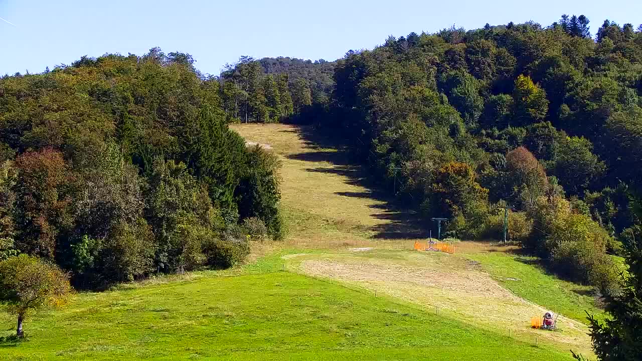 Webcam Lokve – The beauty of the Trnovo forest