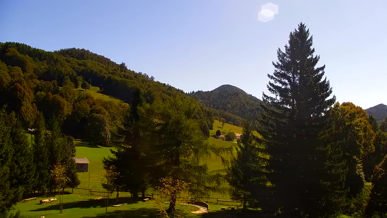 Webcam Lokve – La beauté de la forêt de Trnovo