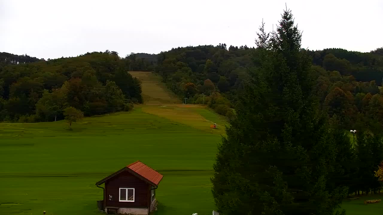 Webcam Loqua / Lokve – La bellezza della selva di Tarnova