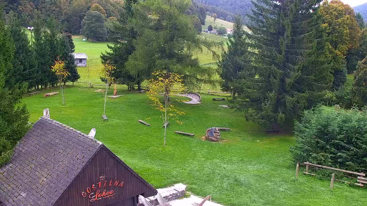 Webcam Loqua / Lokve – La bellezza della selva di Tarnova