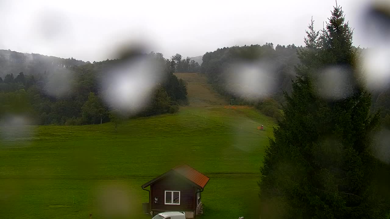 Webcam Lokve – La beauté de la forêt de Trnovo