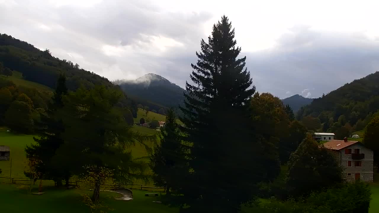 Webcam Lokve – La beauté de la forêt de Trnovo