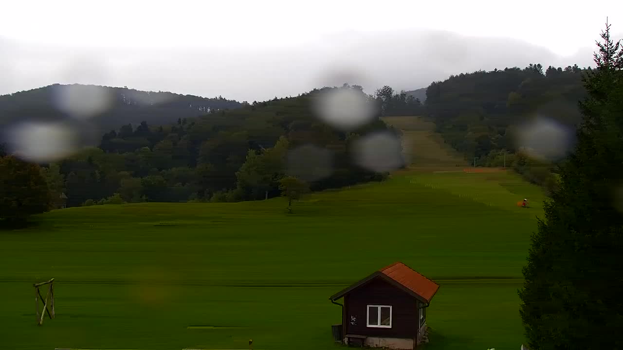 Webcam Lokve – The beauty of the Trnovo forest