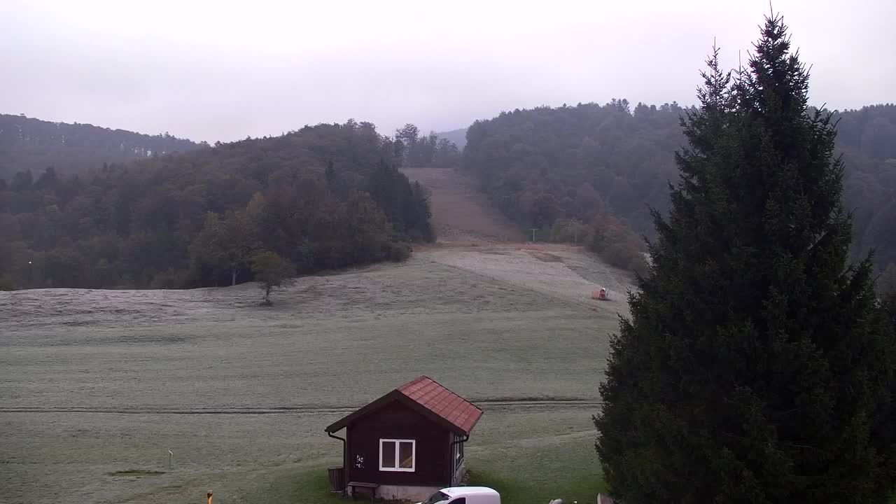 Webcam Loqua / Lokve – La bellezza della selva di Tarnova