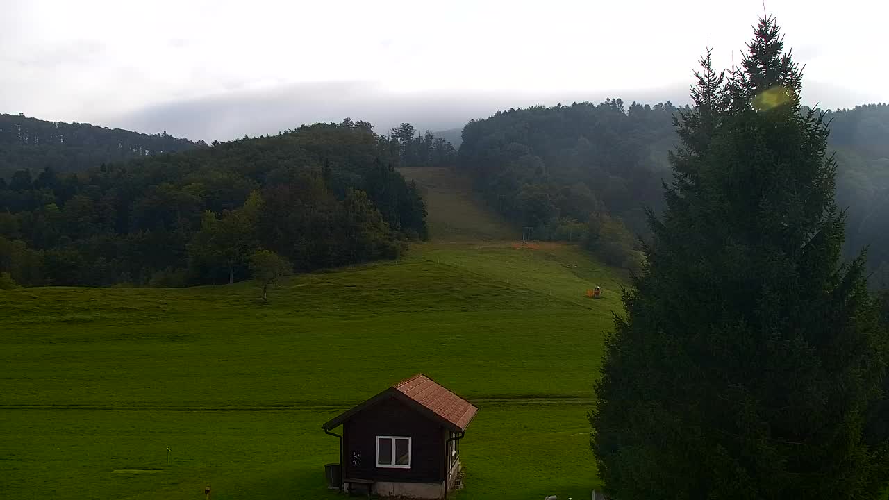 Webcam Loqua / Lokve – La bellezza della selva di Tarnova