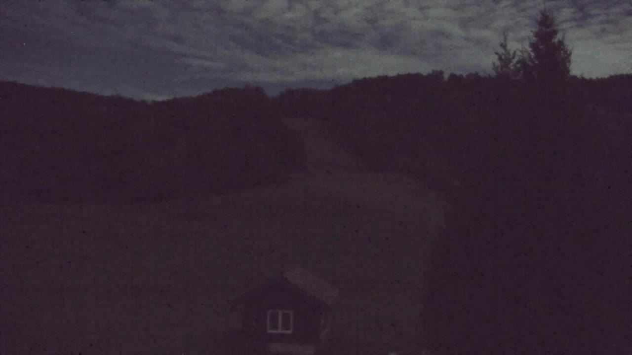 Webcam Lokve – The beauty of the Trnovo forest