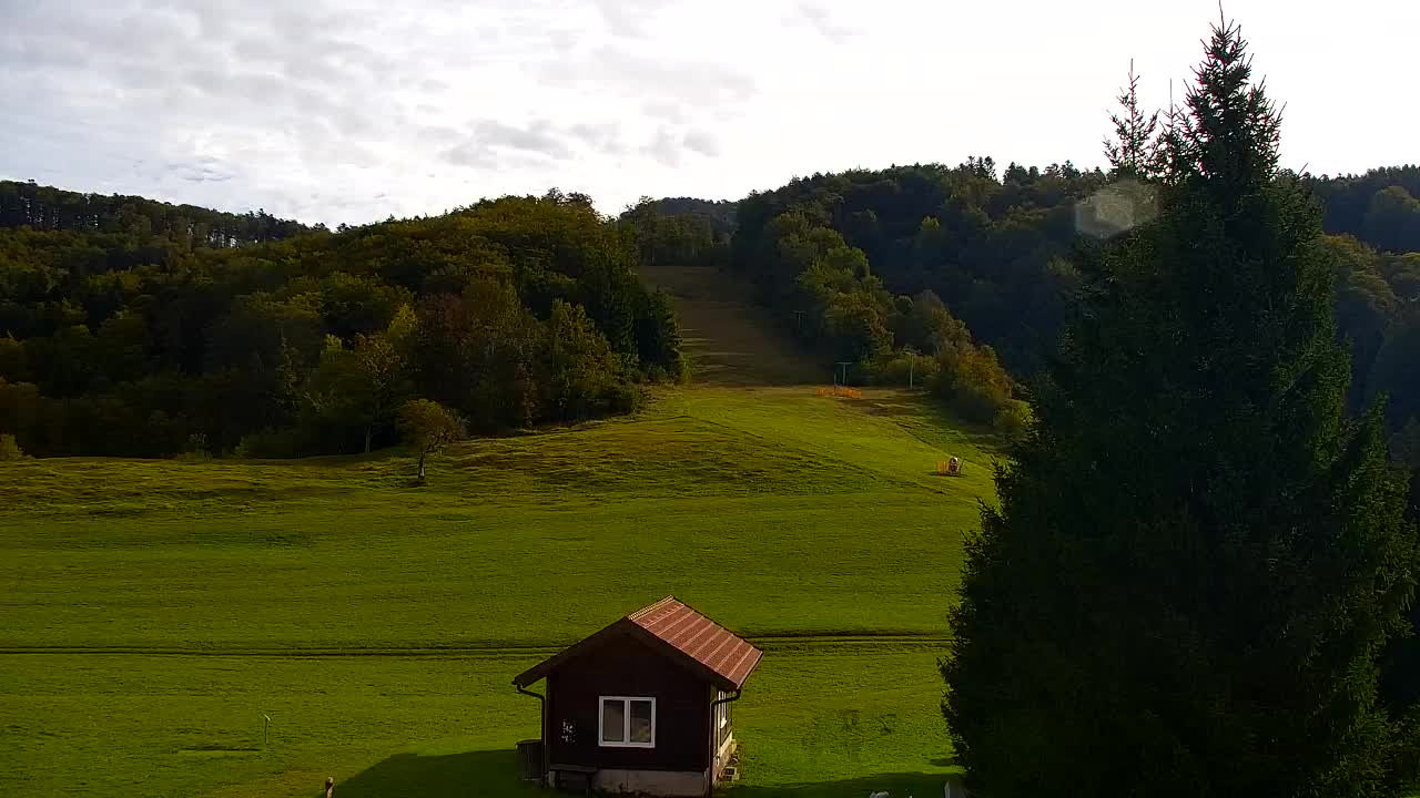 Webcam Loqua / Lokve – La bellezza della selva di Tarnova