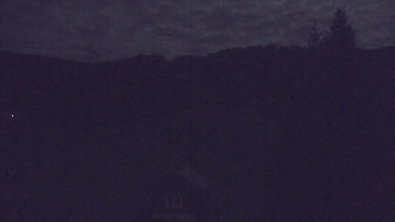 Webcam Loqua / Lokve – La bellezza della selva di Tarnova