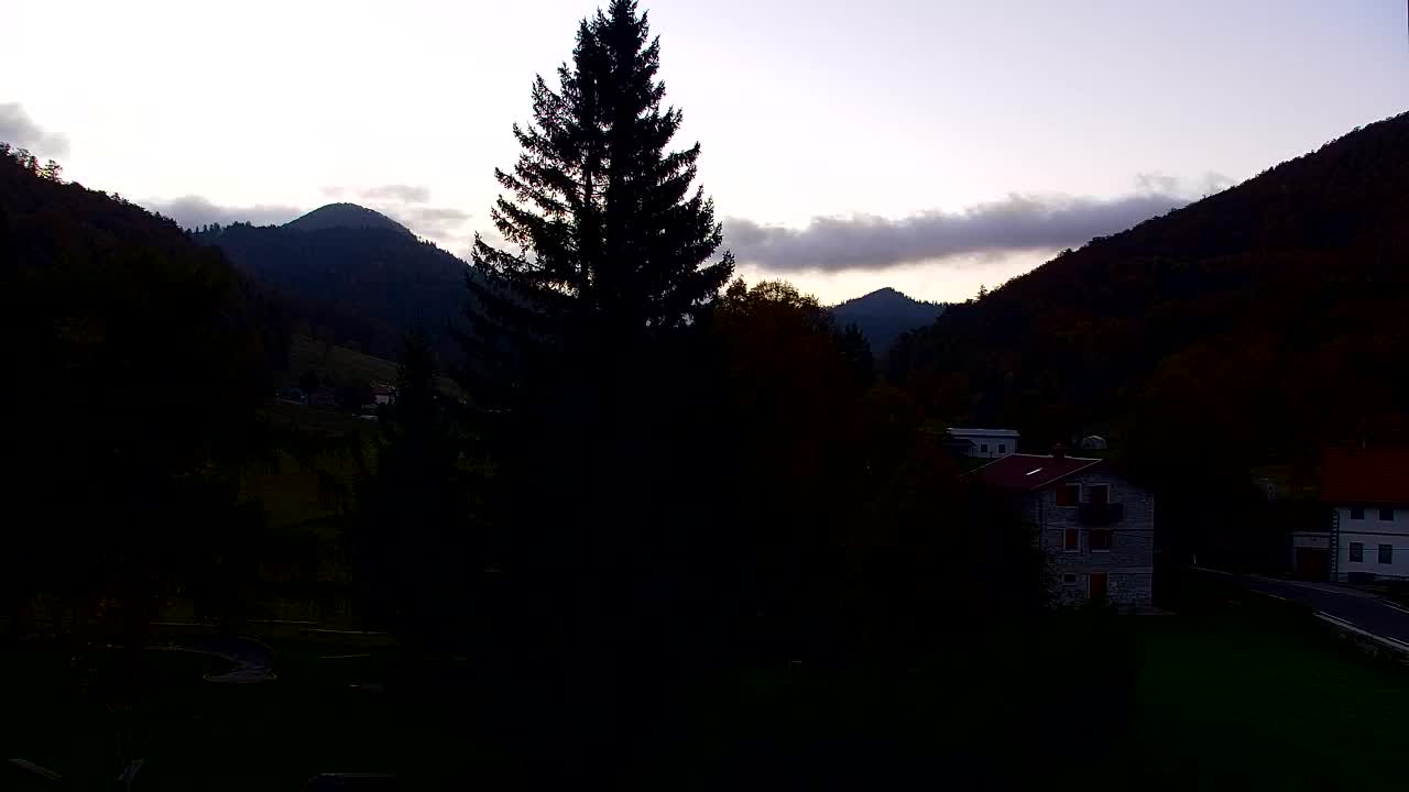 Webcam Loqua / Lokve – La bellezza della selva di Tarnova