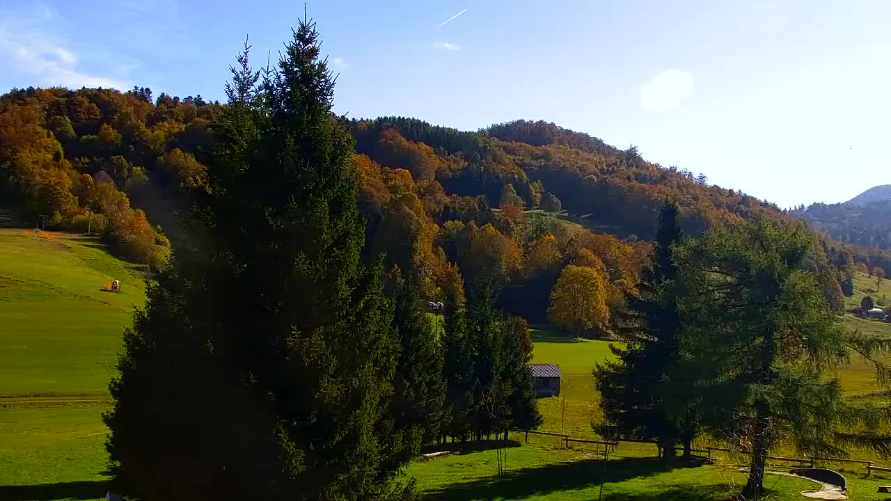 Webcam Lokve – La beauté de la forêt de Trnovo