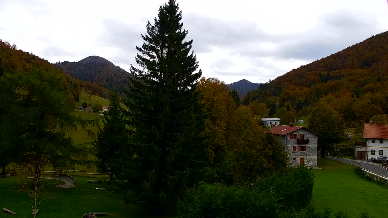 Webcam Lokve – La beauté de la forêt de Trnovo