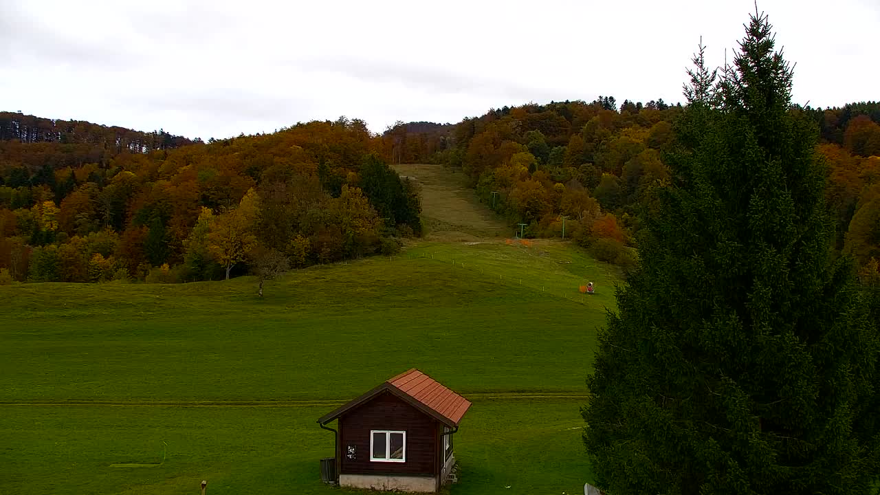 Webcam Lokve – The beauty of the Trnovo forest