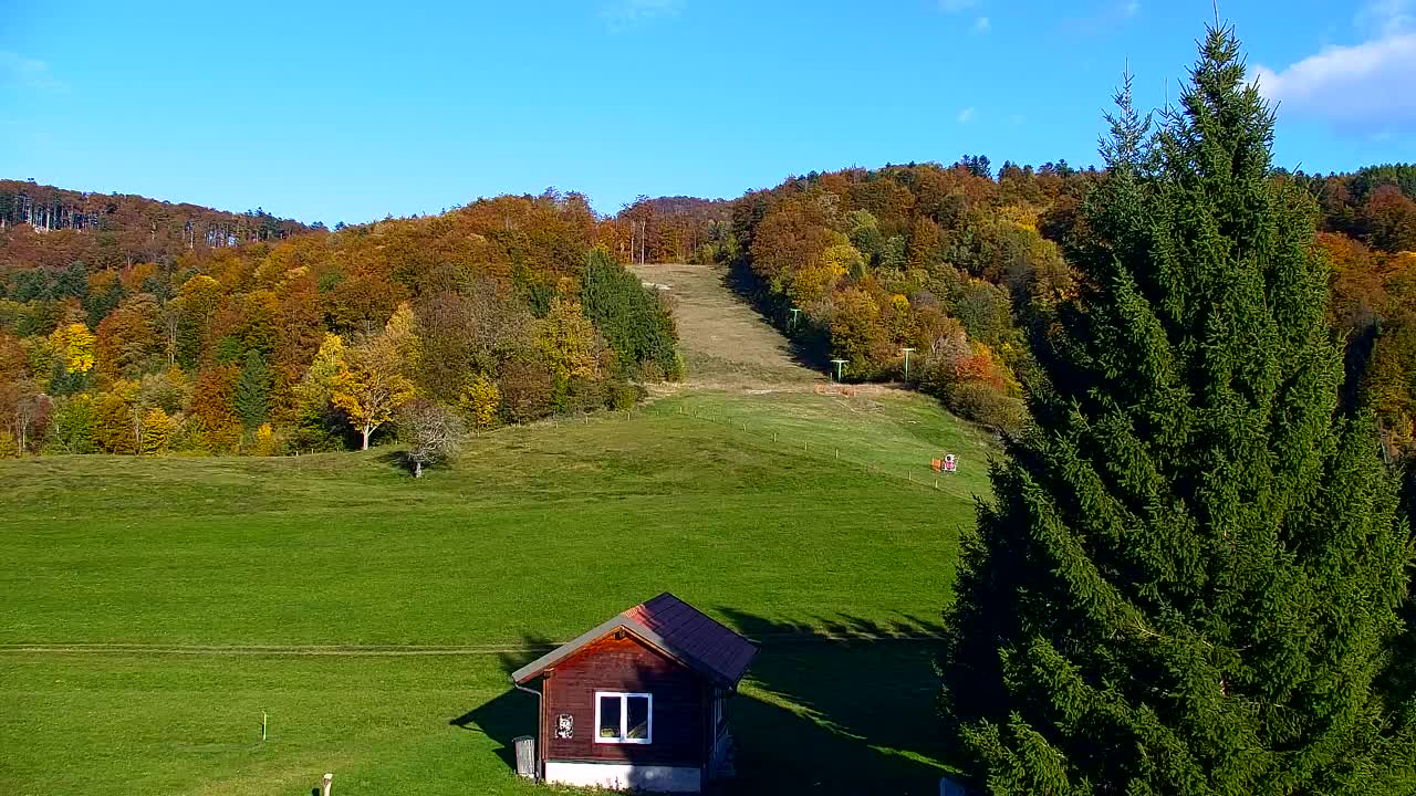 Webcam Lokve – The beauty of the Trnovo forest