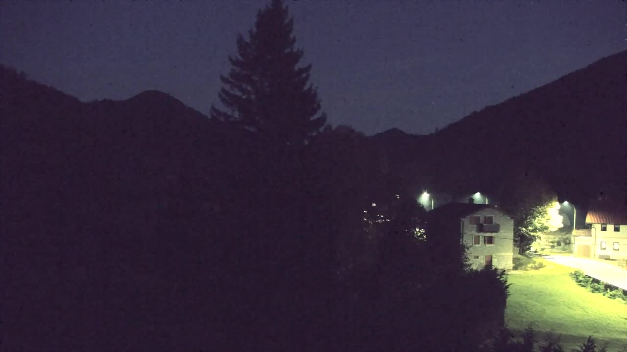 Webcam Lokve – The beauty of the Trnovo forest