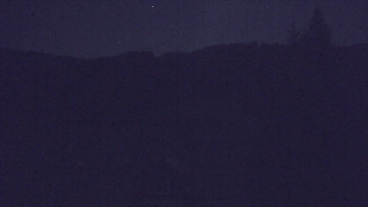 Webcam Lokve – The beauty of the Trnovo forest
