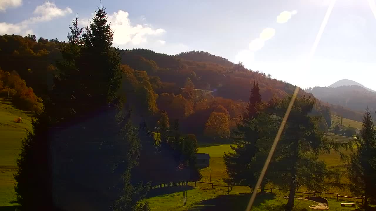 Webcam Loqua / Lokve – La bellezza della selva di Tarnova