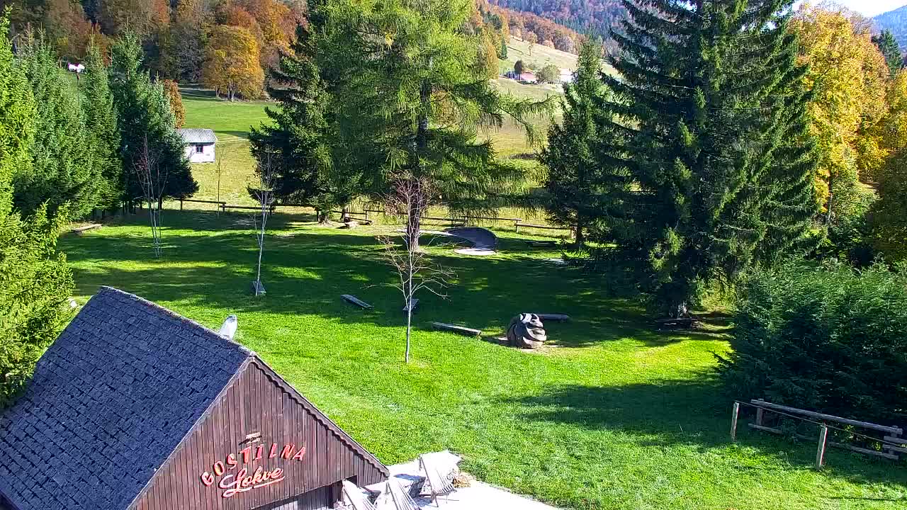 Webcam Lokve – The beauty of the Trnovo forest